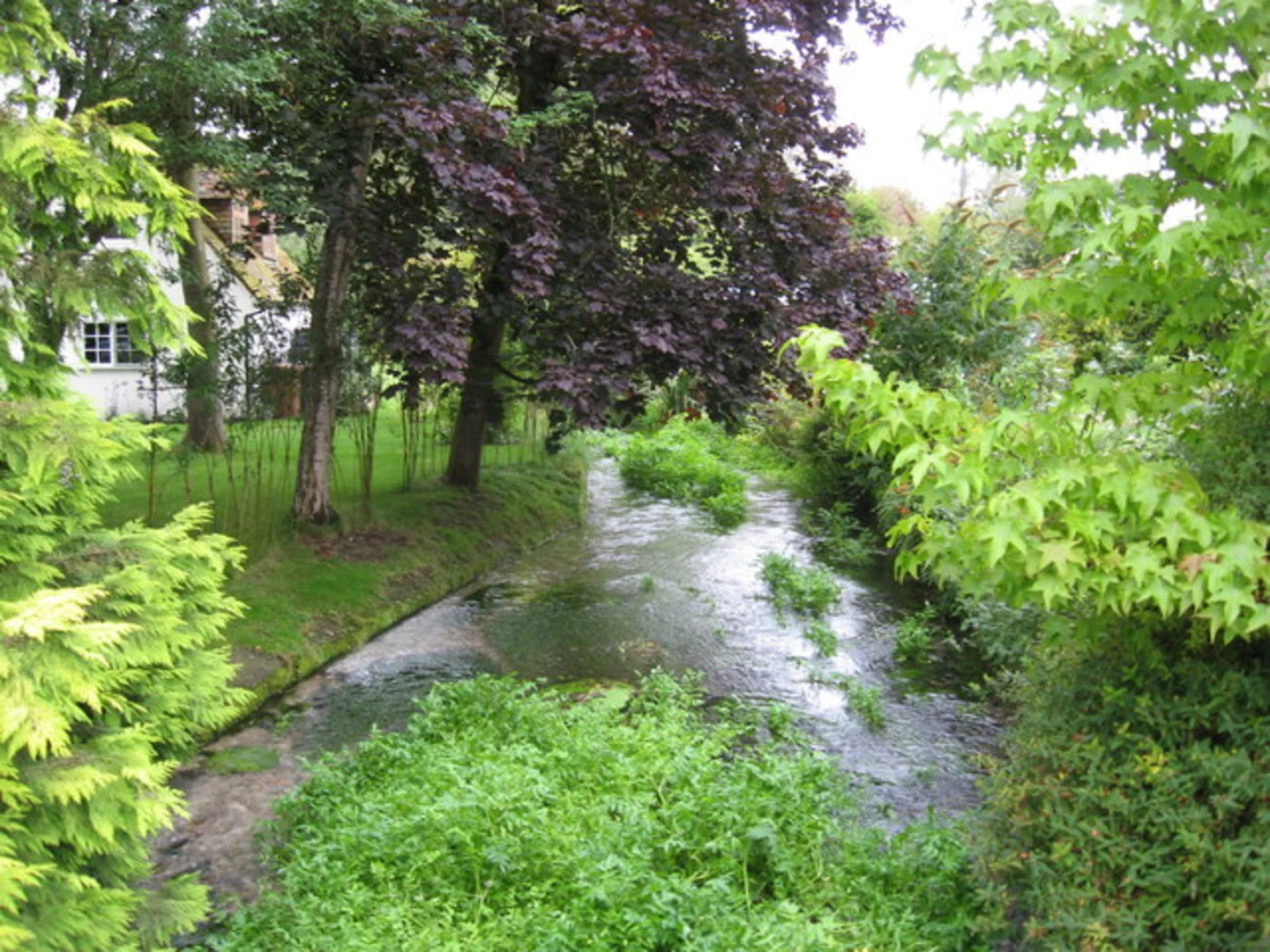 An image depicting the trail Over Wallop to Nether Wallop Loop and its surrounding area.