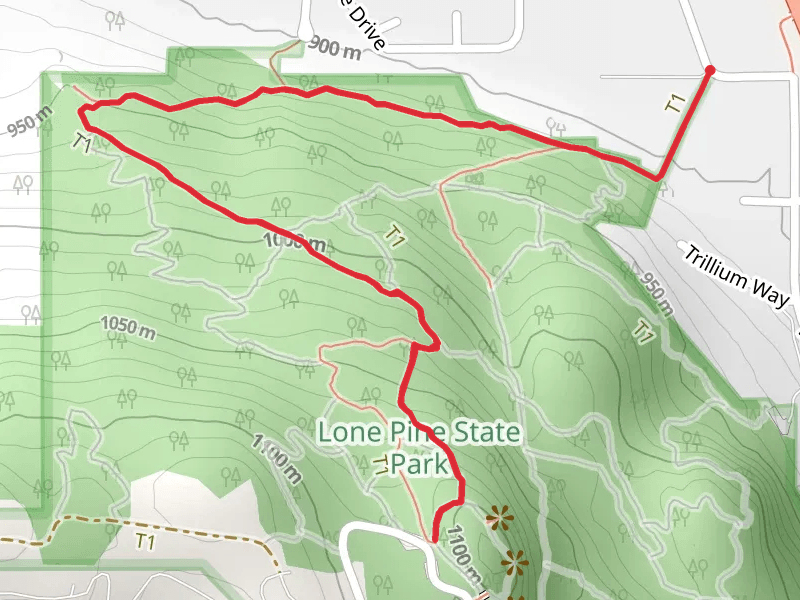 Lone Pine Trail and Trail D