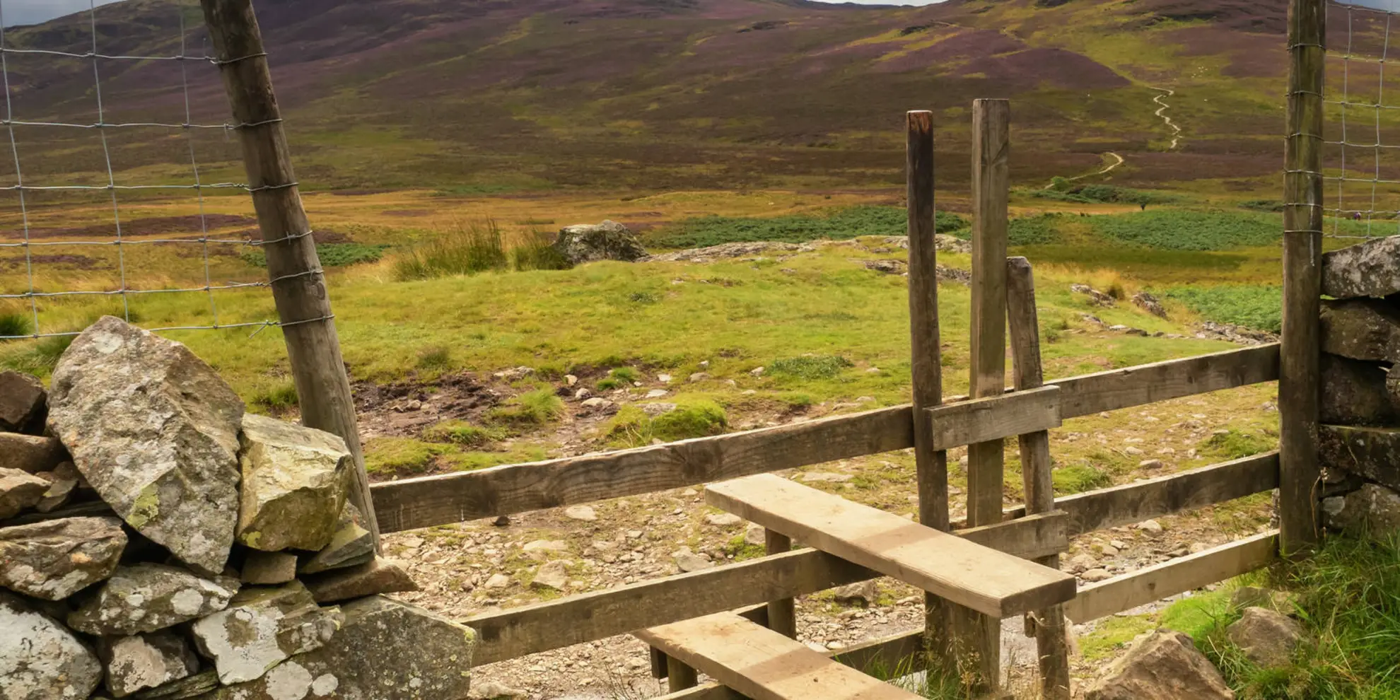 An image depicting the trail Walla Crag - Bleaberry Fell and High Seat and its surrounding area.