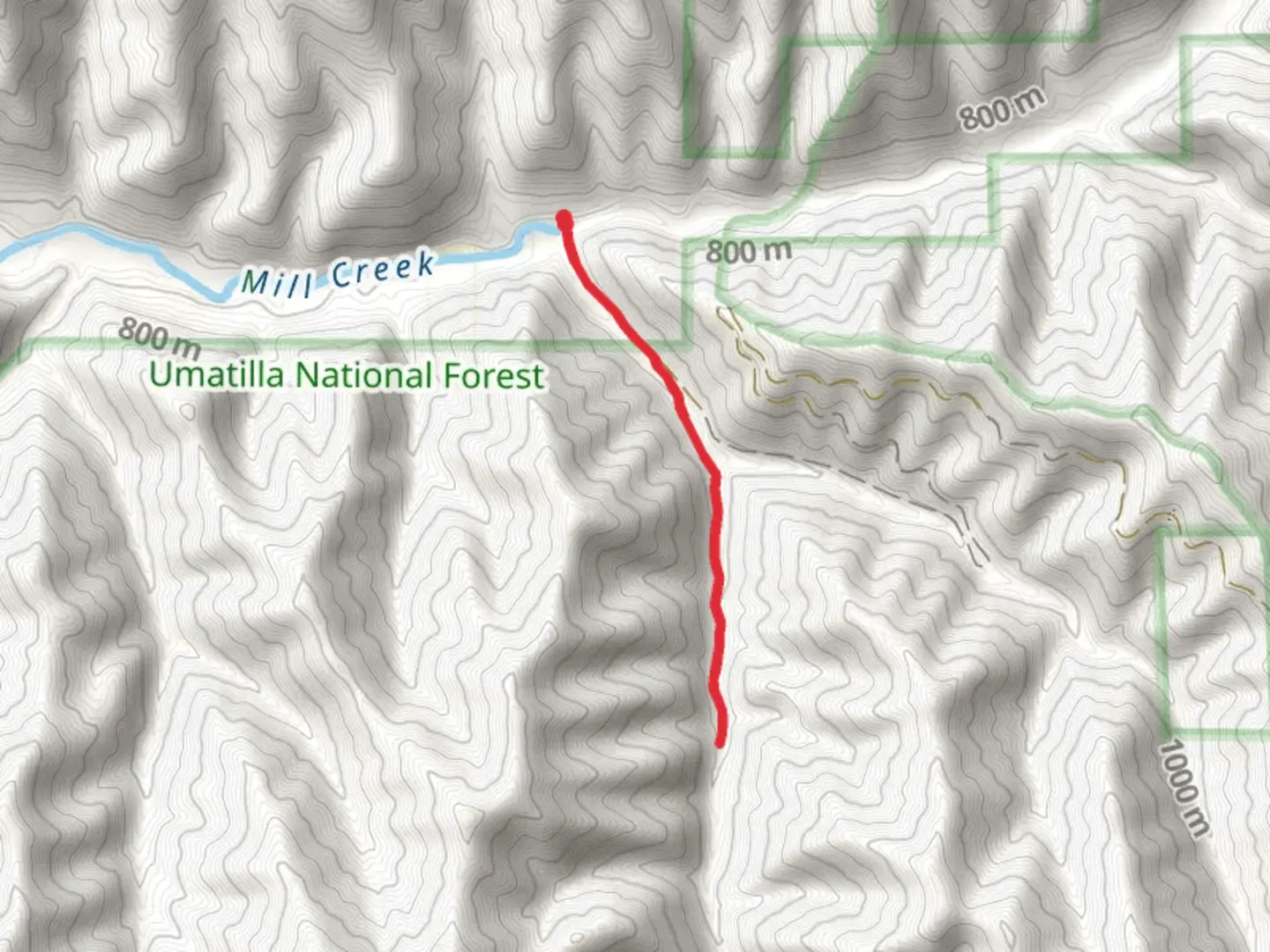 An image depicting the trail West Tiger Creek Trail and its surrounding area.