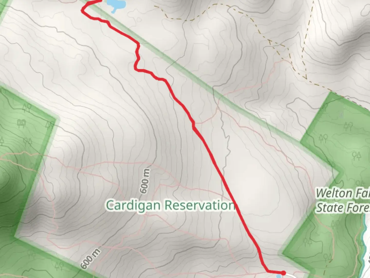 An image depicting the trail Beaver Pond via Back 80 Trail and its surrounding area.