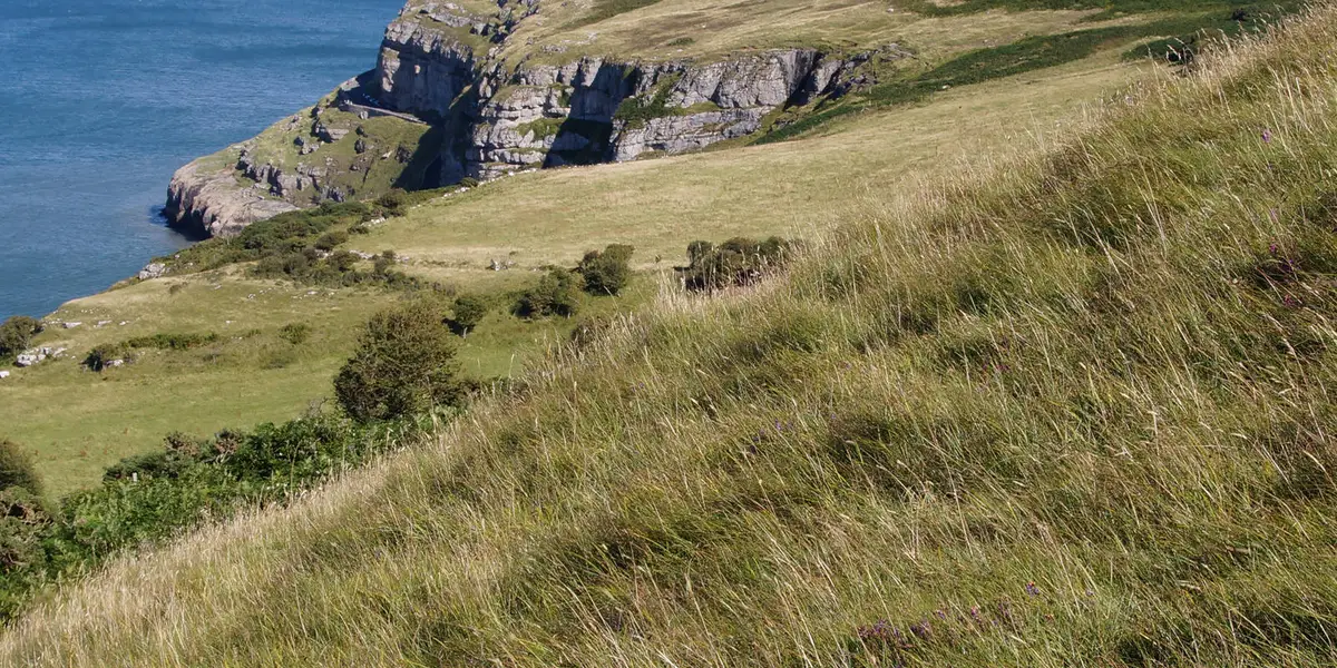 Great Orme and Country Park - Llandudno - Short Route