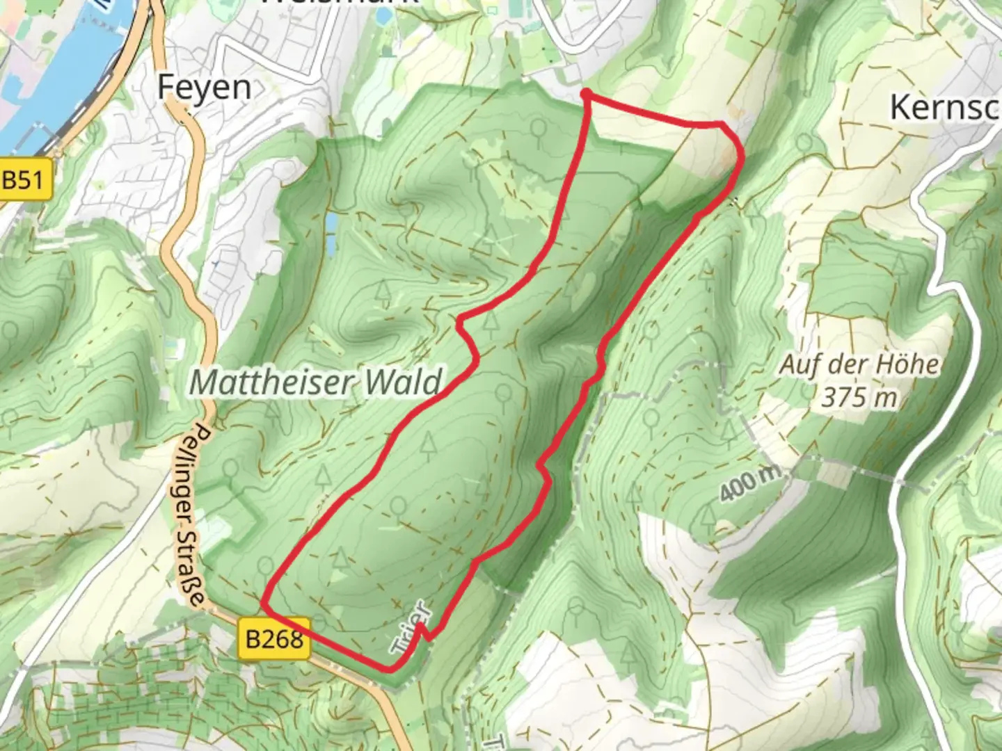 An image depicting the trail Mattheiser Wald Rundweg and its surrounding area.