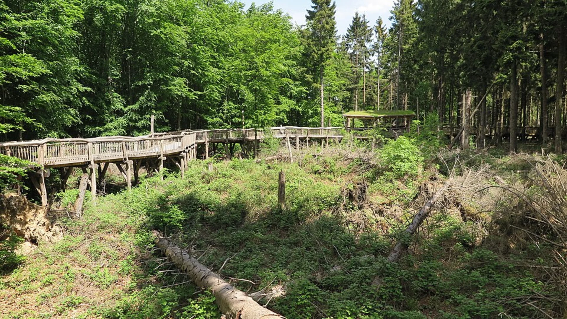 An image depicting the trail Wilder Kermeter Loop and its surrounding area.