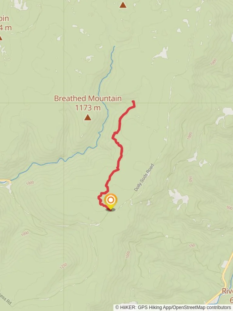 An image depicting the trail Dolly Sods Road and its surrounding area.