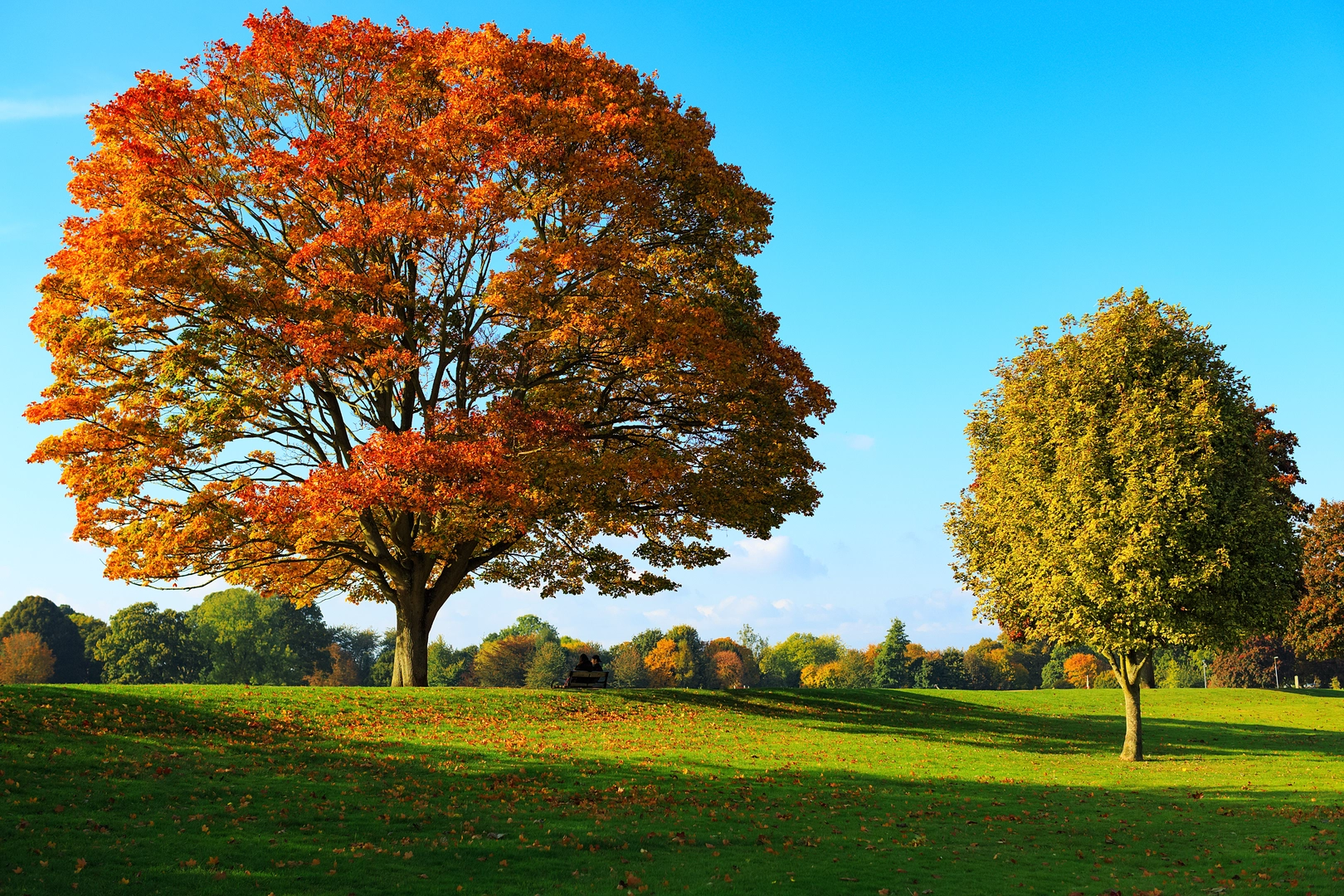 An image depicting the trail Len Valley Walk and its surrounding area.