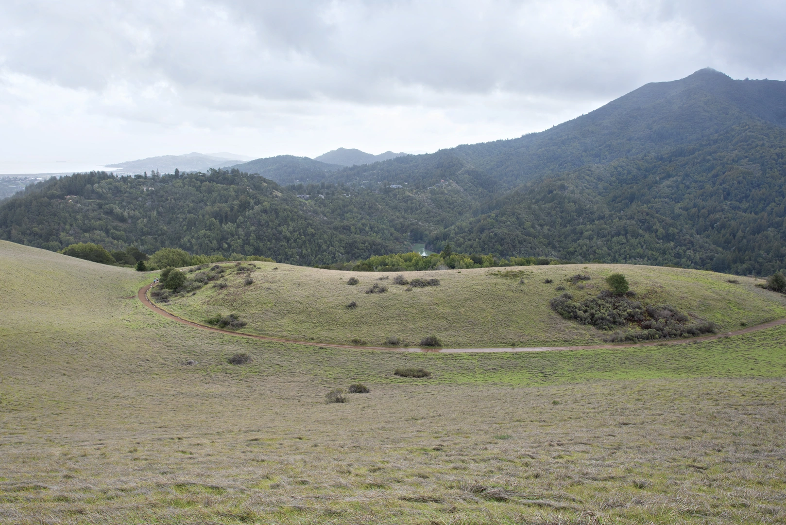 An image depicting the trail Phoenix Lake - Bill Williams Loop Trail and its surrounding area.