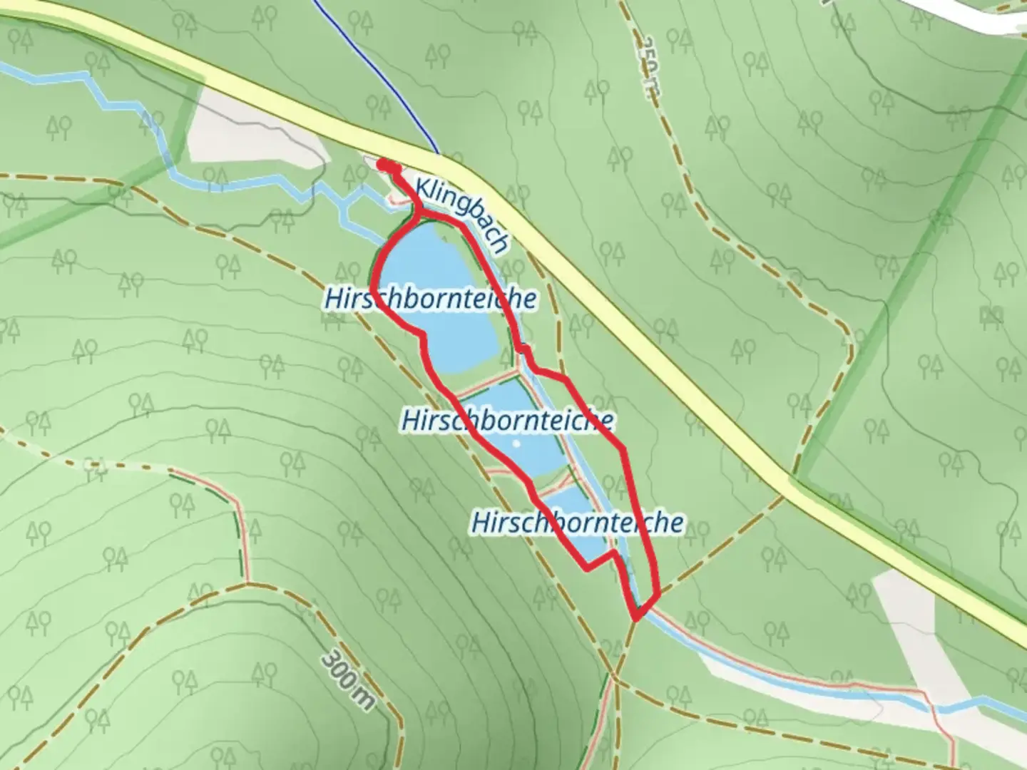 An image depicting the trail Hirschbornteiche Loop and its surrounding area.