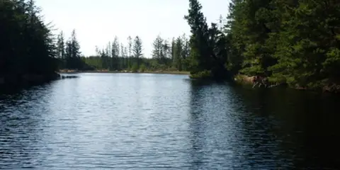 An image depicting the trail Moygownagh Loop Walk and its surrounding area.
