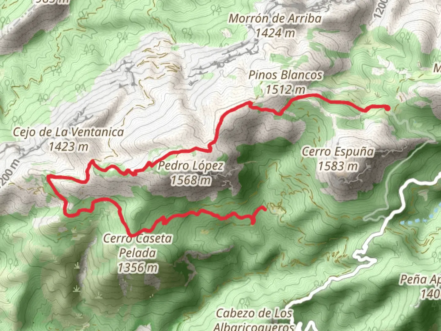 An image depicting the trail Path of Pedro Lopez - Sierra Espuña PR MU 63 and its surrounding area.