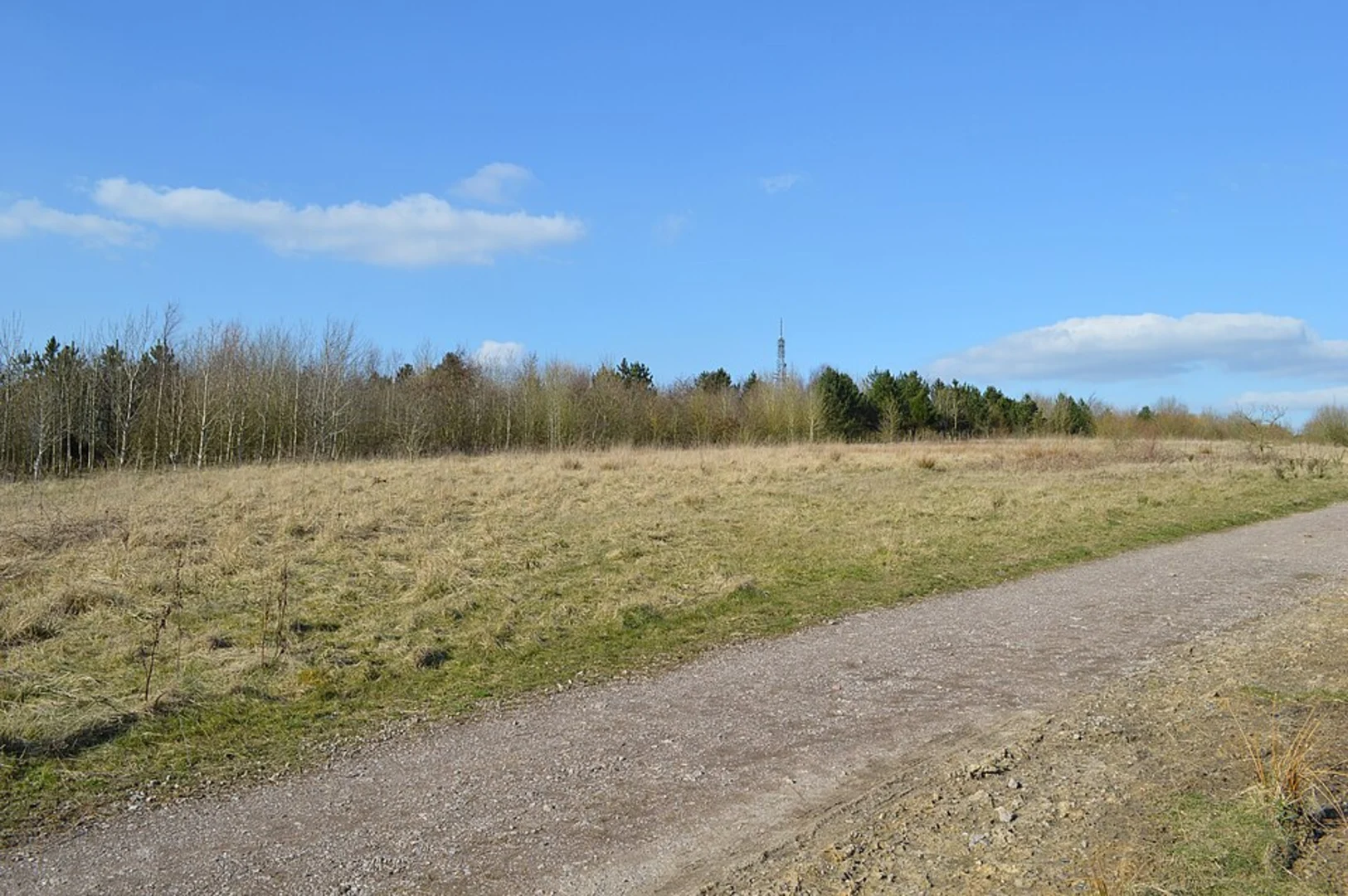 An image depicting the trail Miner's Retreat Wood Loop - SIlverdale Community Park and its surrounding area.