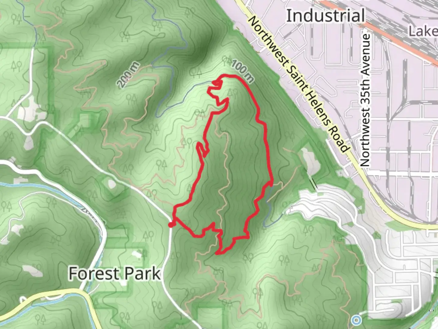 An image depicting the trail Wild Cherry - Northwest Leif Erikson - Dogwood Loop Trail and its surrounding area.