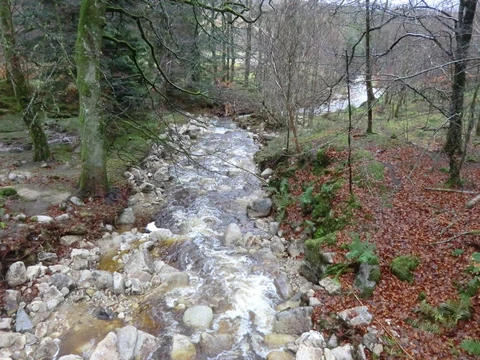 An image depicting the trail Dry Seefin Mountain and its surrounding area.