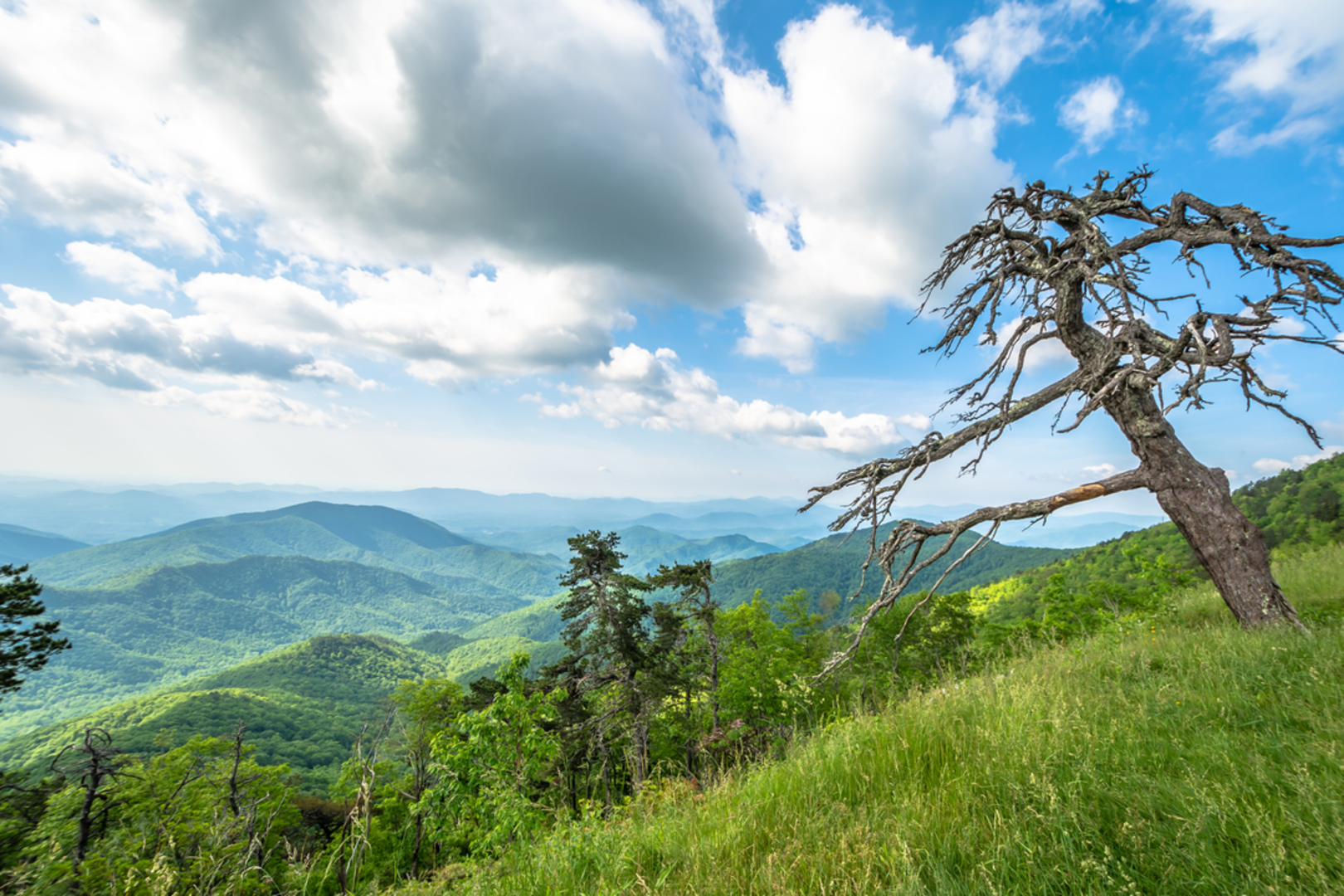 An image depicting the trail Leadmine Gap Trail and its surrounding area.