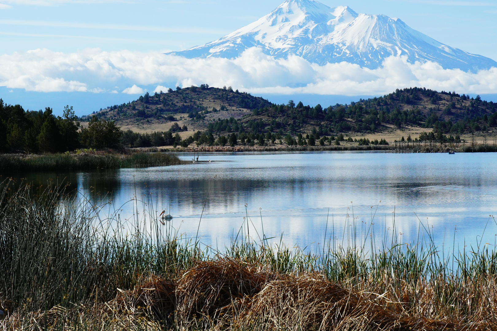 An image depicting the trail Bass Lake South Walk and its surrounding area.