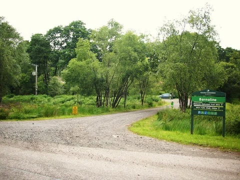 An image depicting the trail Dalavich Oakwood Trail and its surrounding area.