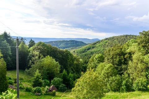 An image depicting the trail Drachenfels, Geisberg, Lowenburg and Kleiner Breiberg Loop - Rhöndorf and its surrounding area.