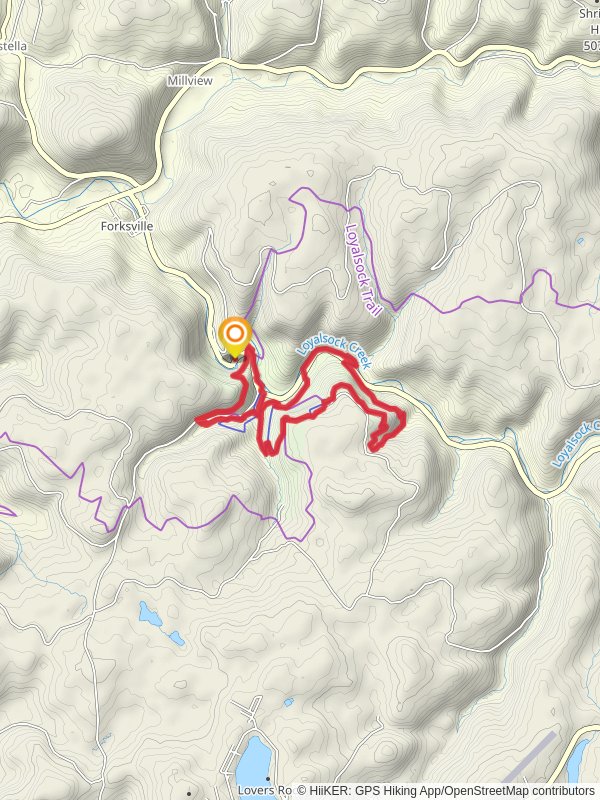 Loyalsock and Canyon Vista Loop Trail mobile static map