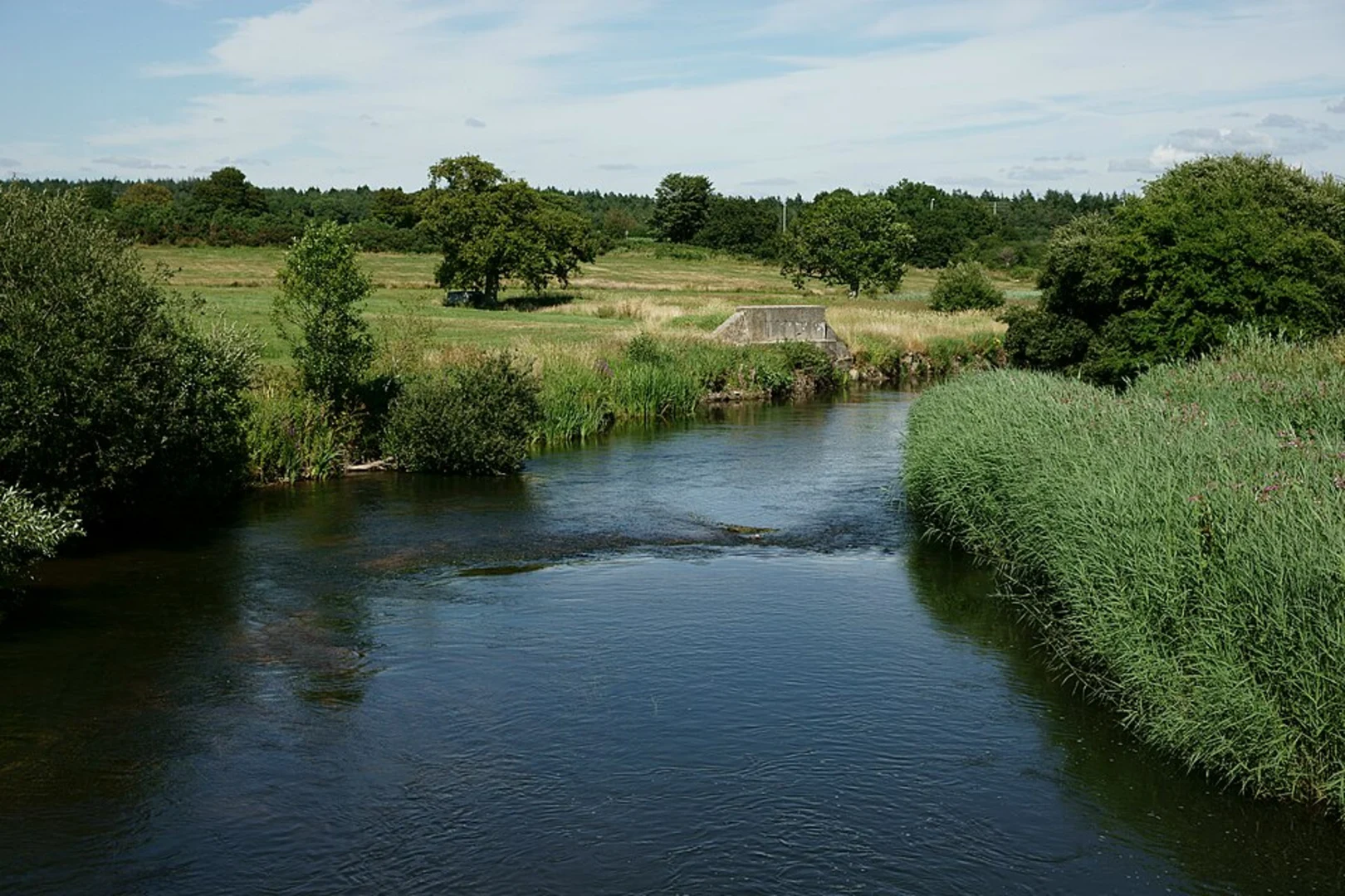 An image depicting the trail River Frome and Stratton Loop and its surrounding area.