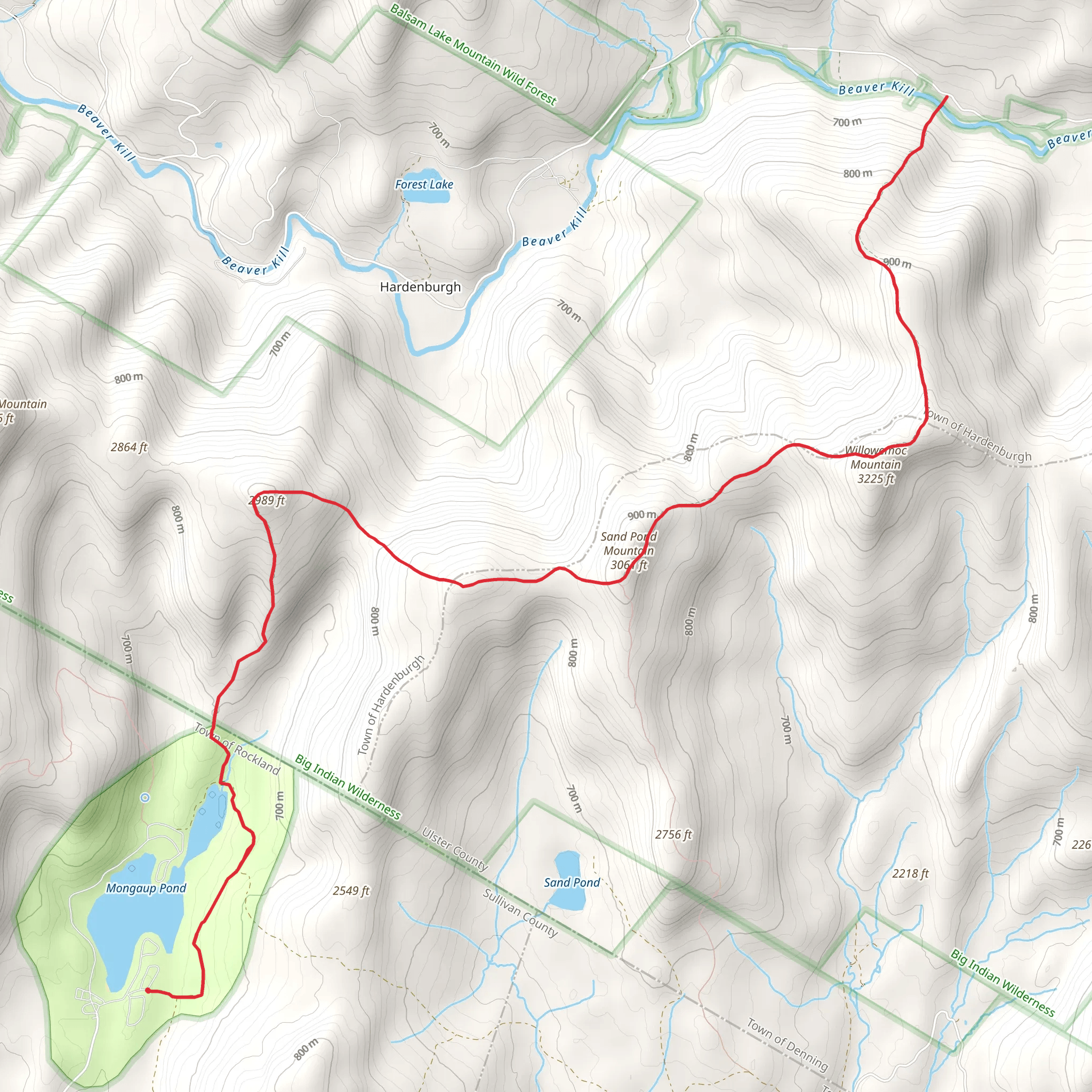 Sand Pond Mountain and Willowemoc Mountain mobile static map