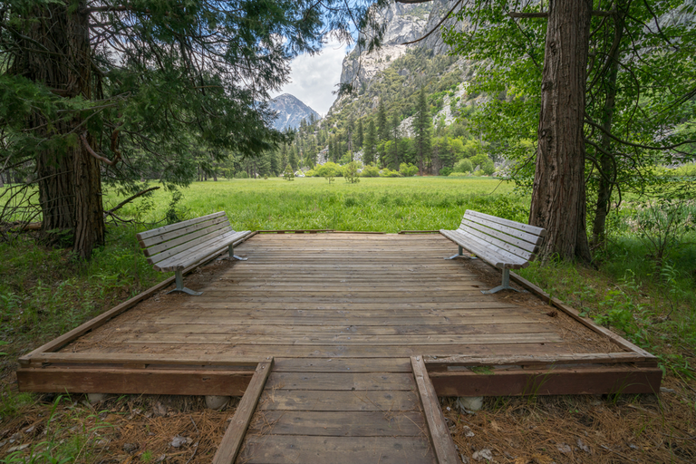 An image depicting the trail Zumwalt Meadow to Roaring River Falls Trail and its surrounding area.