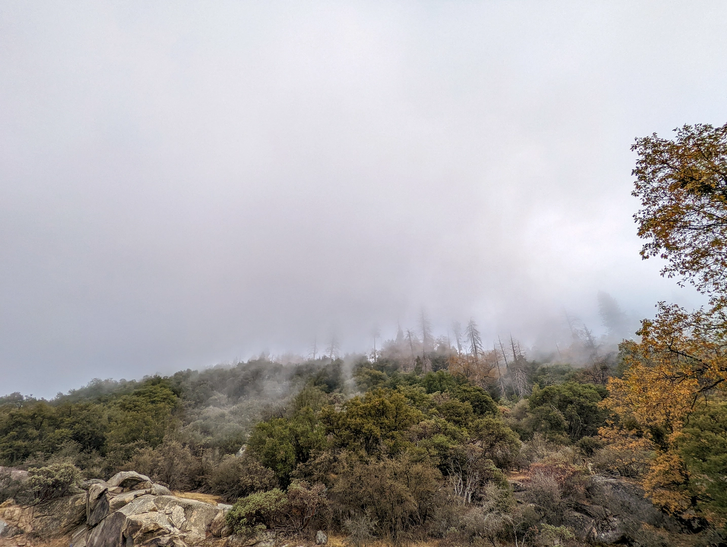 An image depicting the trail Cherry Gap East Walk and its surrounding area.