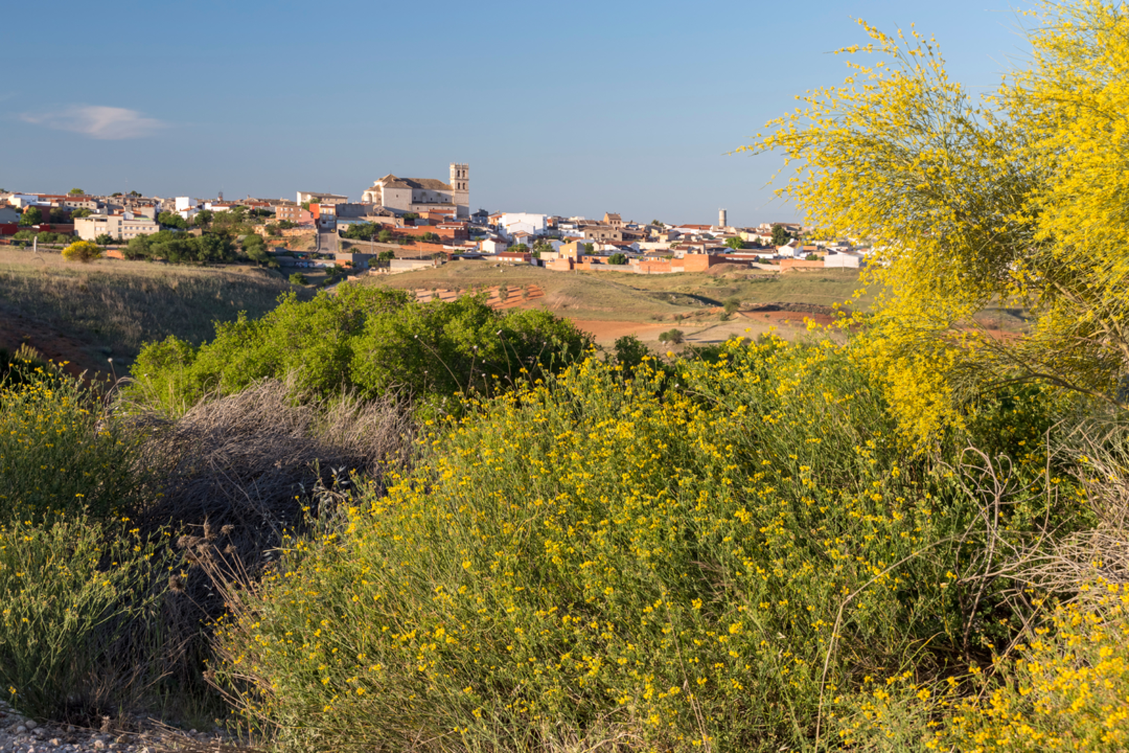 An image depicting the trail Walk Through the Sources PR TO 33 and its surrounding area.
