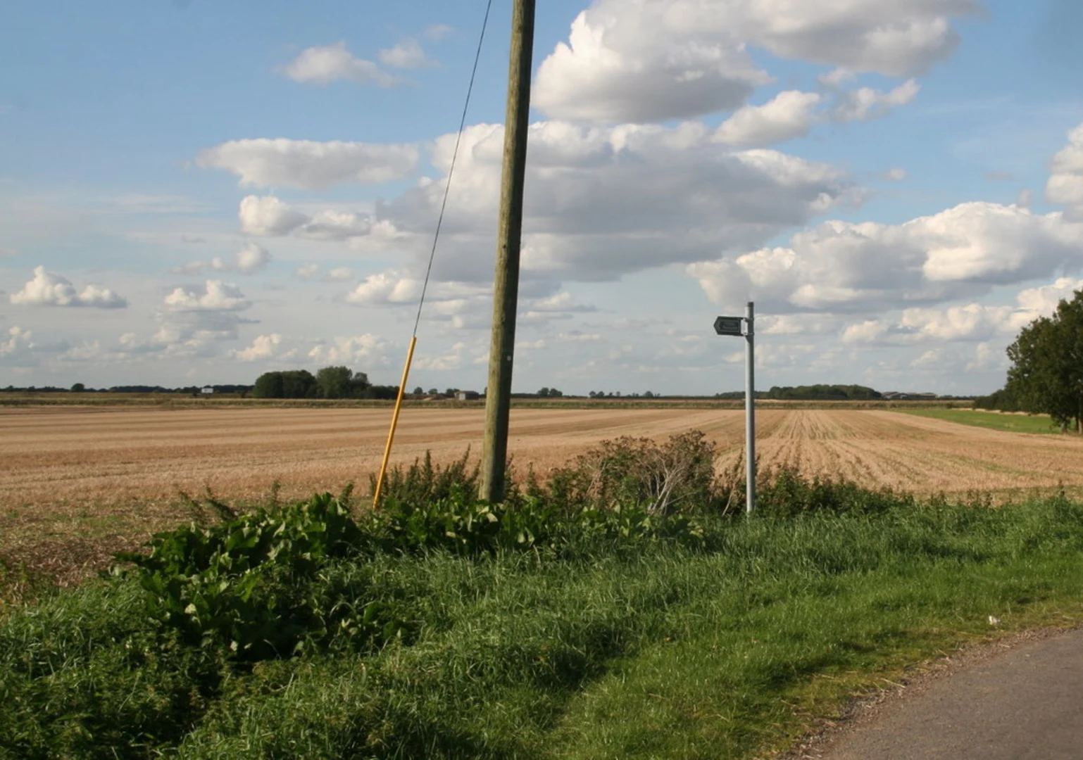 An image depicting the trail Heckington Loop and its surrounding area.