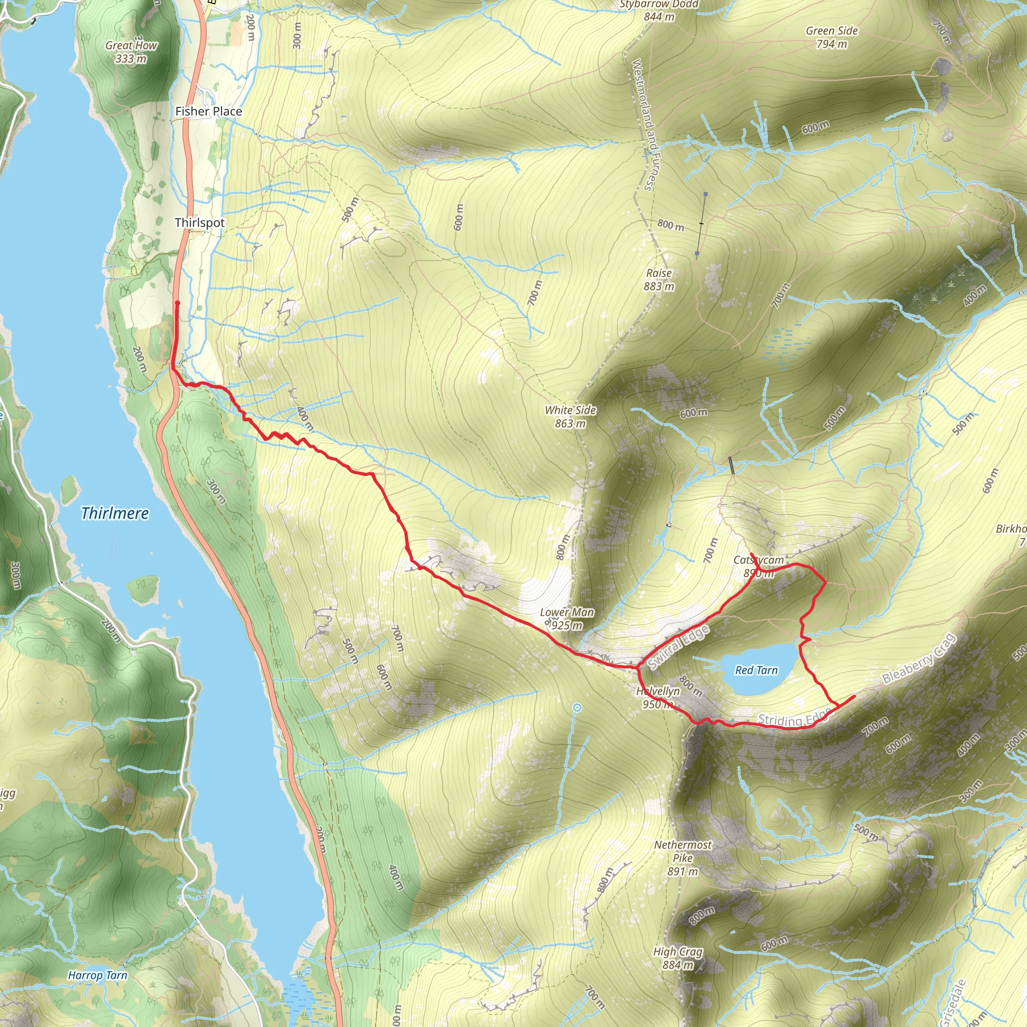 Catsty Cam mobile static map