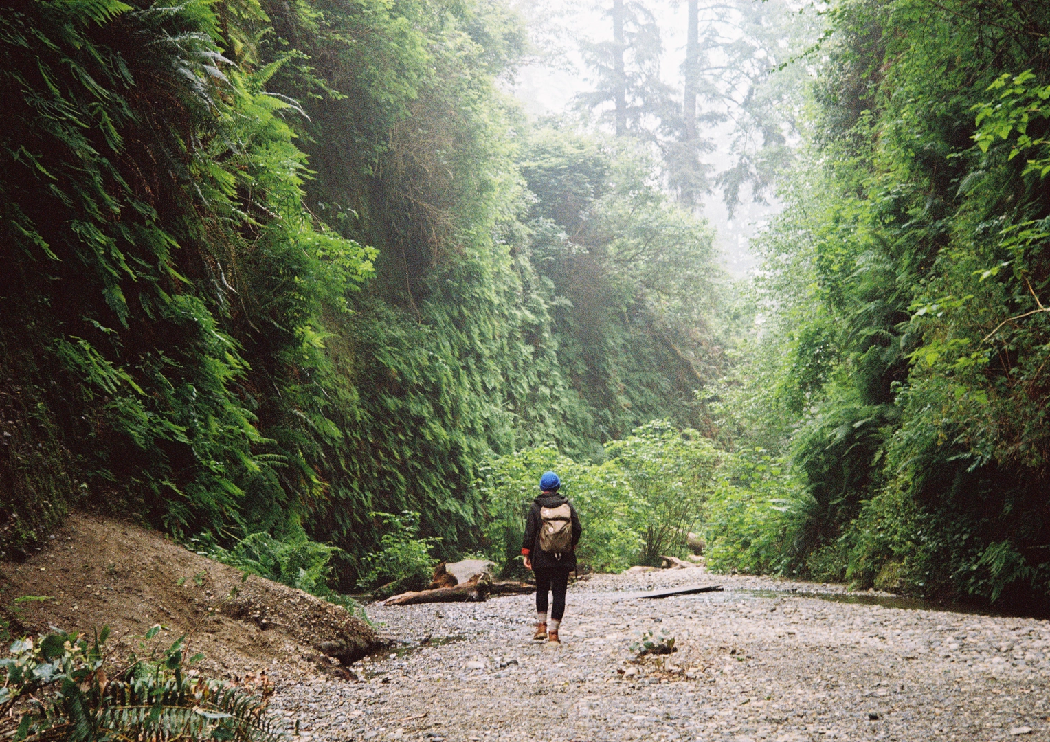 An image depicting the trail Moorman Pond Trail and its surrounding area.