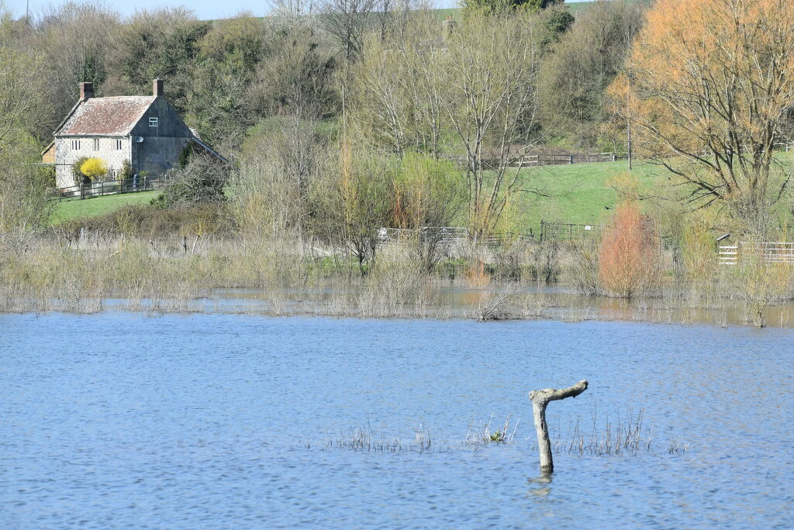 An image depicting the trail Long Pond Loop and its surrounding area.
