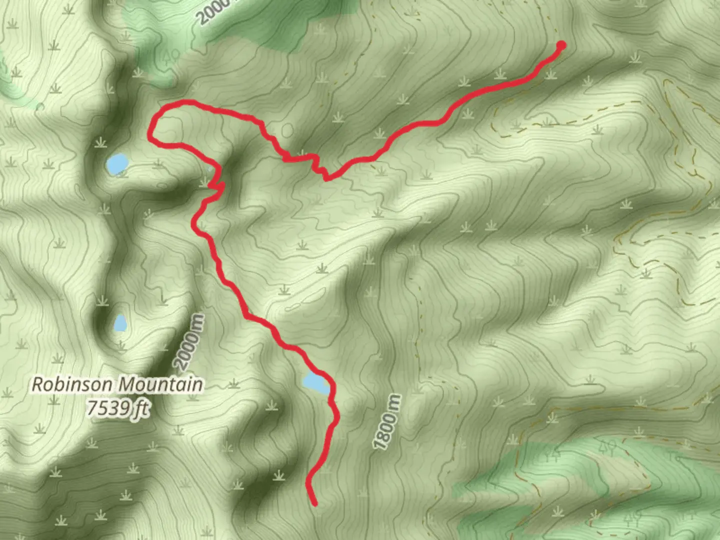 An image depicting the trail Young Creek via Geneva Lake Trail and its surrounding area.