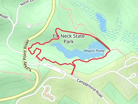 Wapiti Pond Loop