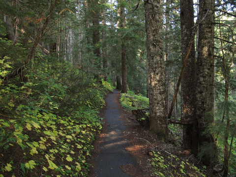 An image depicting the trail Box Canyon Loop Trail and its surrounding area.