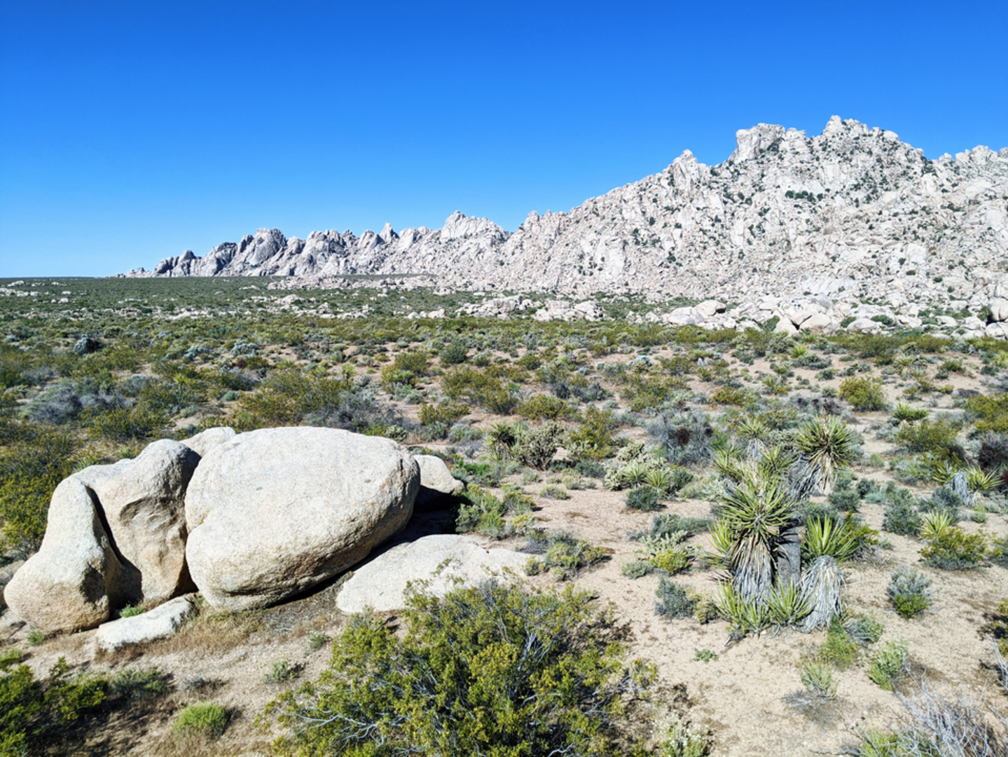 An image depicting the trail Granite Peak Trail and its surrounding area.