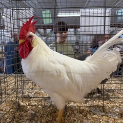 Cindy Stalvey avatar