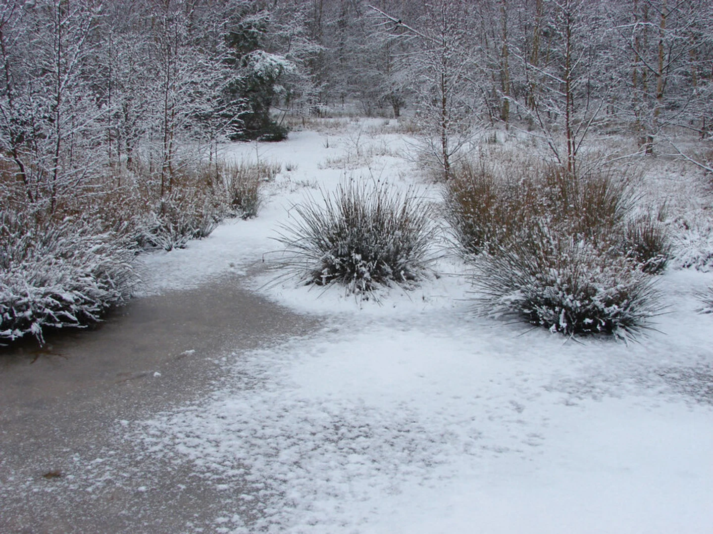 An image depicting the trail Goldsworth Park Lake Loop and its surrounding area.