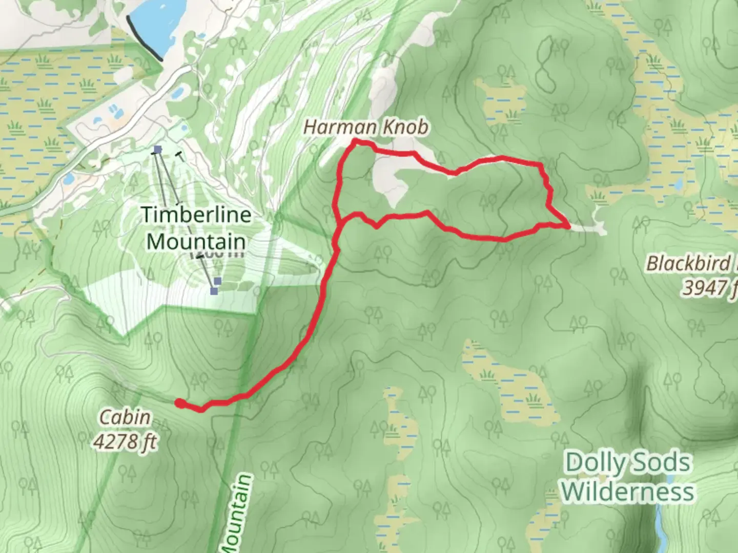 An image depicting the trail Harman Trail and Blackbird Knob Loop Trail and its surrounding area.