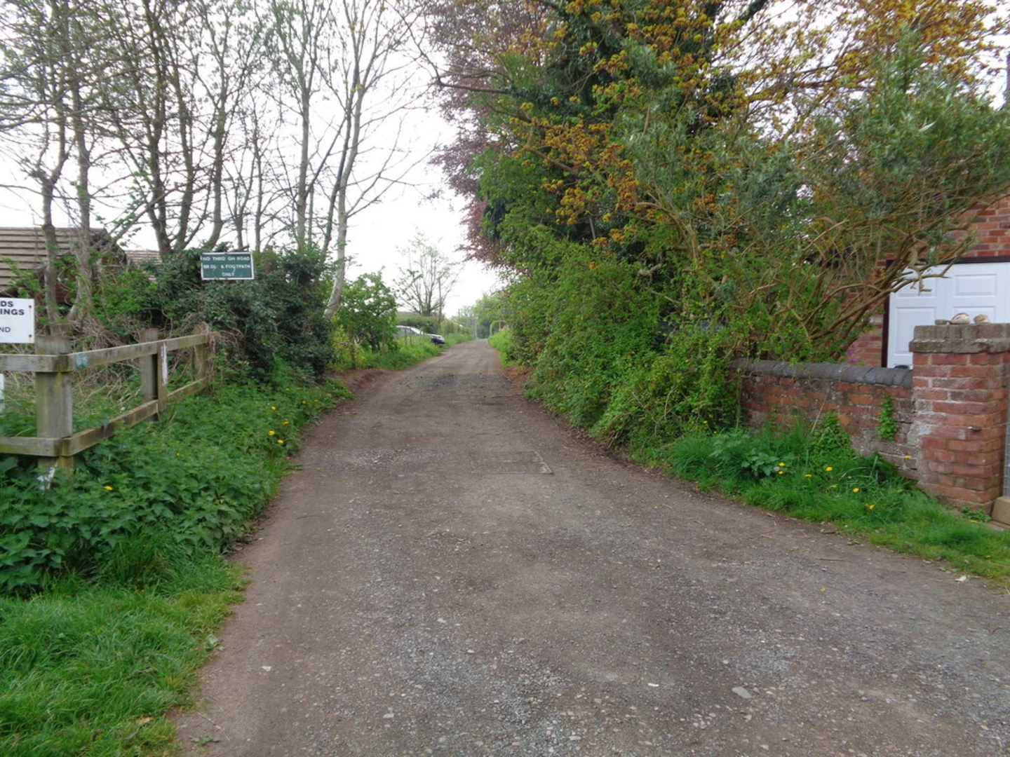 An image depicting the trail Shrawley Wood Loop and its surrounding area.
