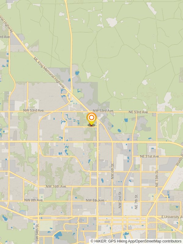 Hogtown Creek Headwaters Loop