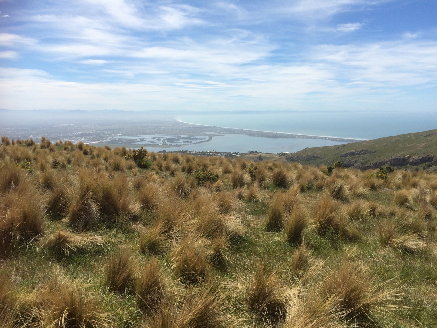 An image depicting the trail Bridge Reserve to South New Brighton Park and its surrounding area.