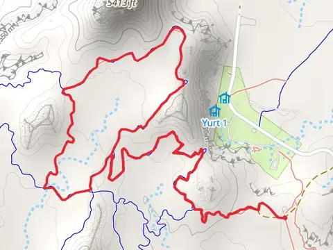 Lizard Foot and Desert View Loop