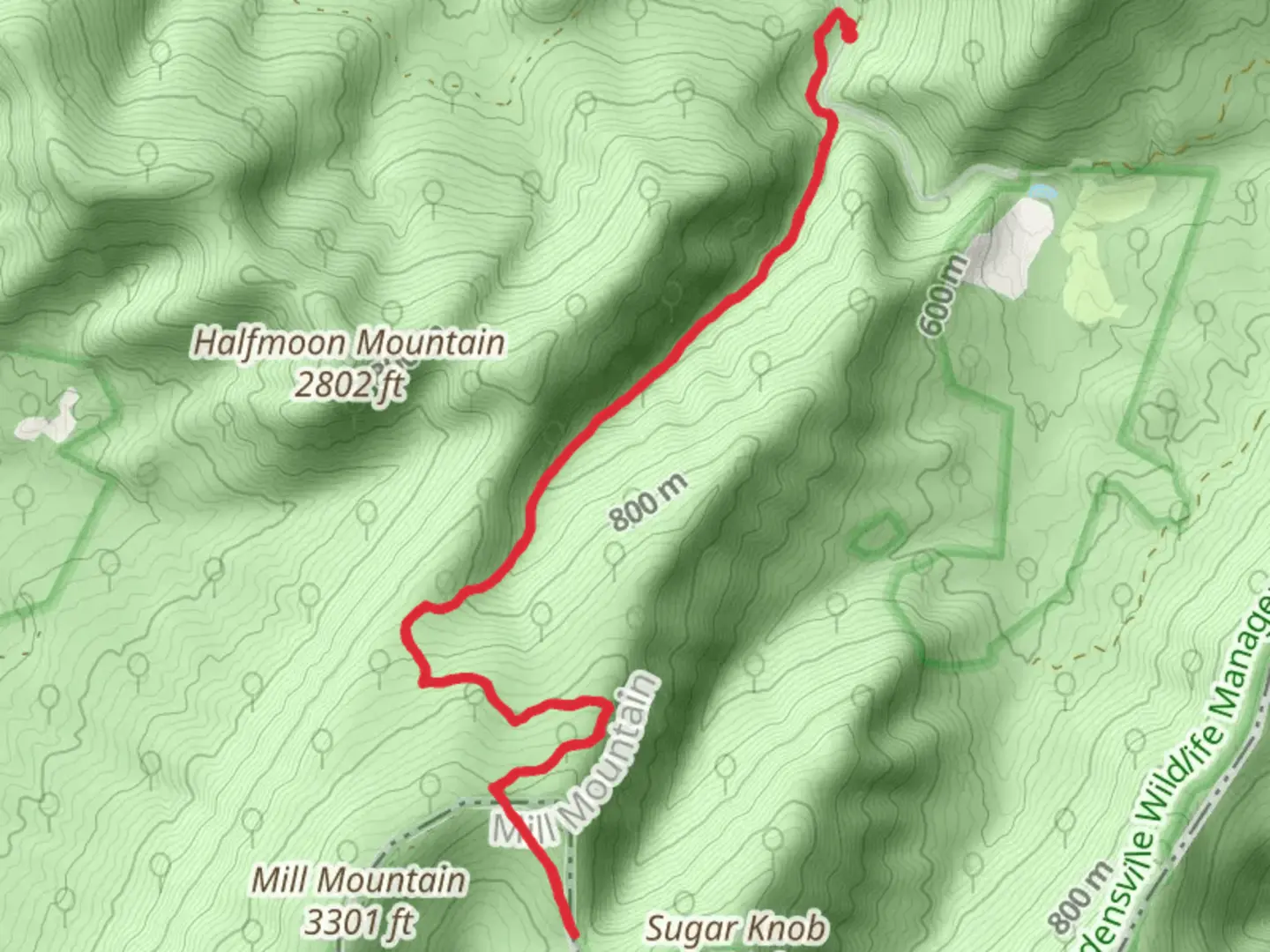 An image depicting the trail Tuscarora - Pond Trail and its surrounding area.