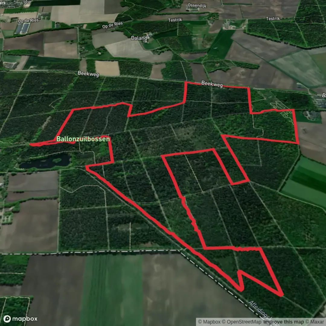 An image depicting the trail Ballonzuilbossen and Het Kruisje Loop and its surrounding area.