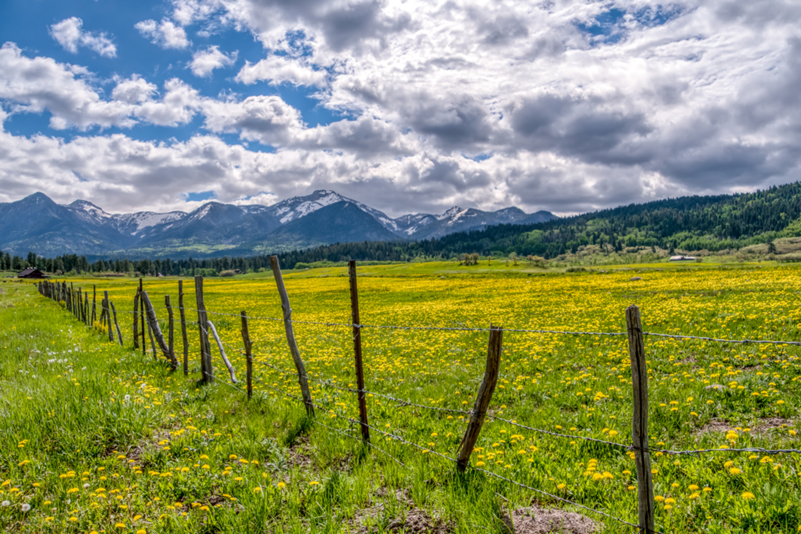 An image depicting the trail Anderson Trail and its surrounding area.