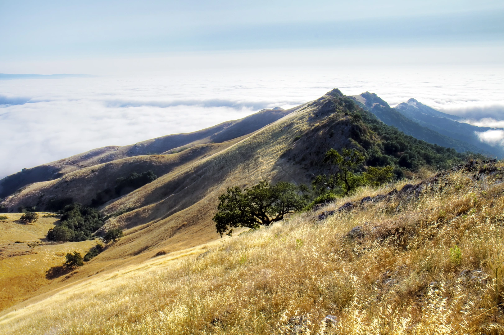 An image depicting the trail Fremont Peak Loop Trail and its surrounding area.