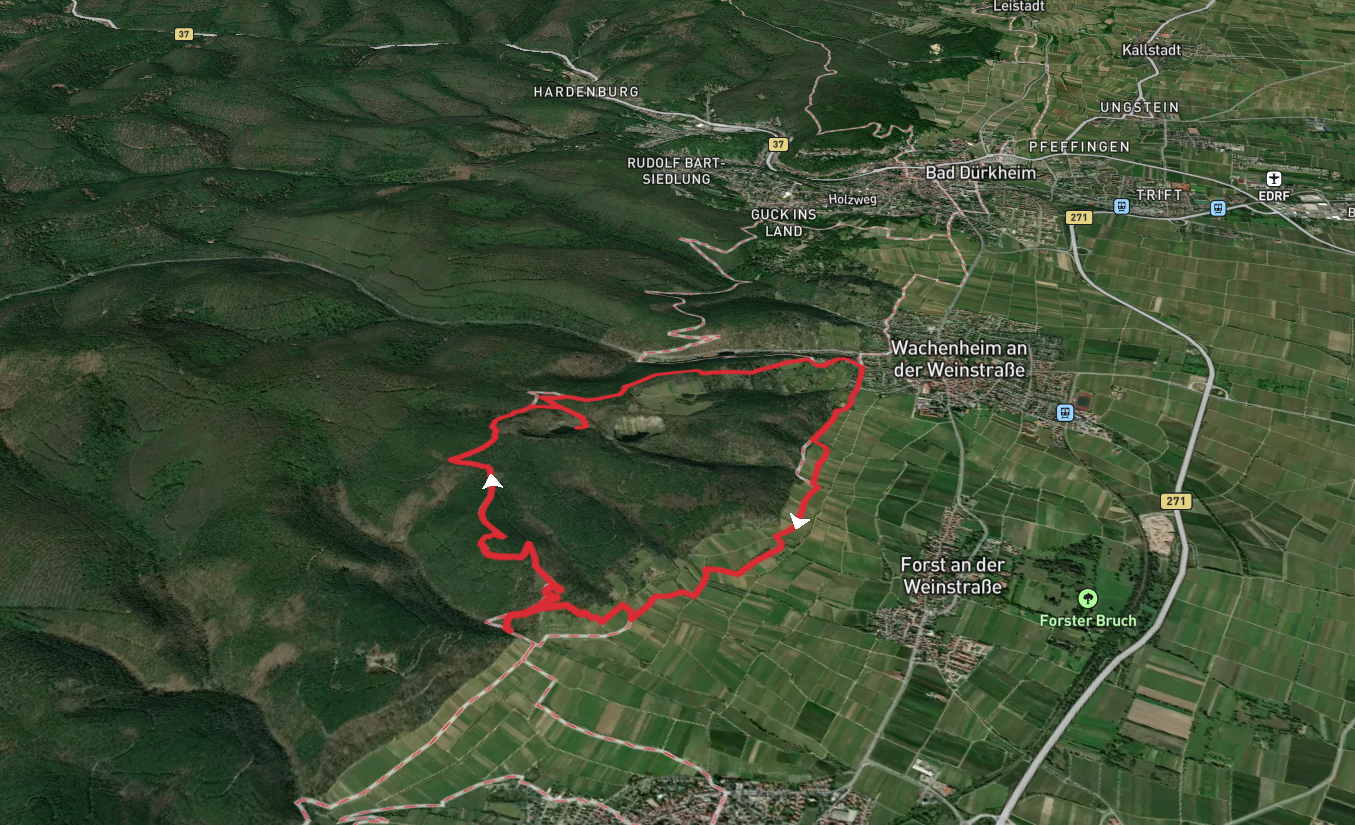 Kirchberg, Basaltsee and Wachtenburg Loop