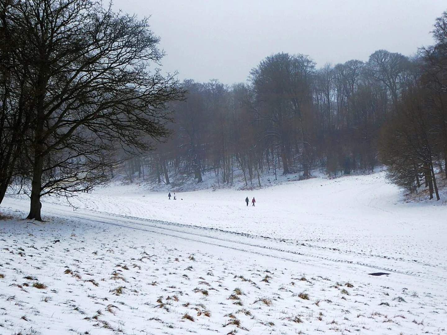 An image depicting the trail Frithsden Beeches and Little Gaddesden Country Park Loop and its surrounding area.