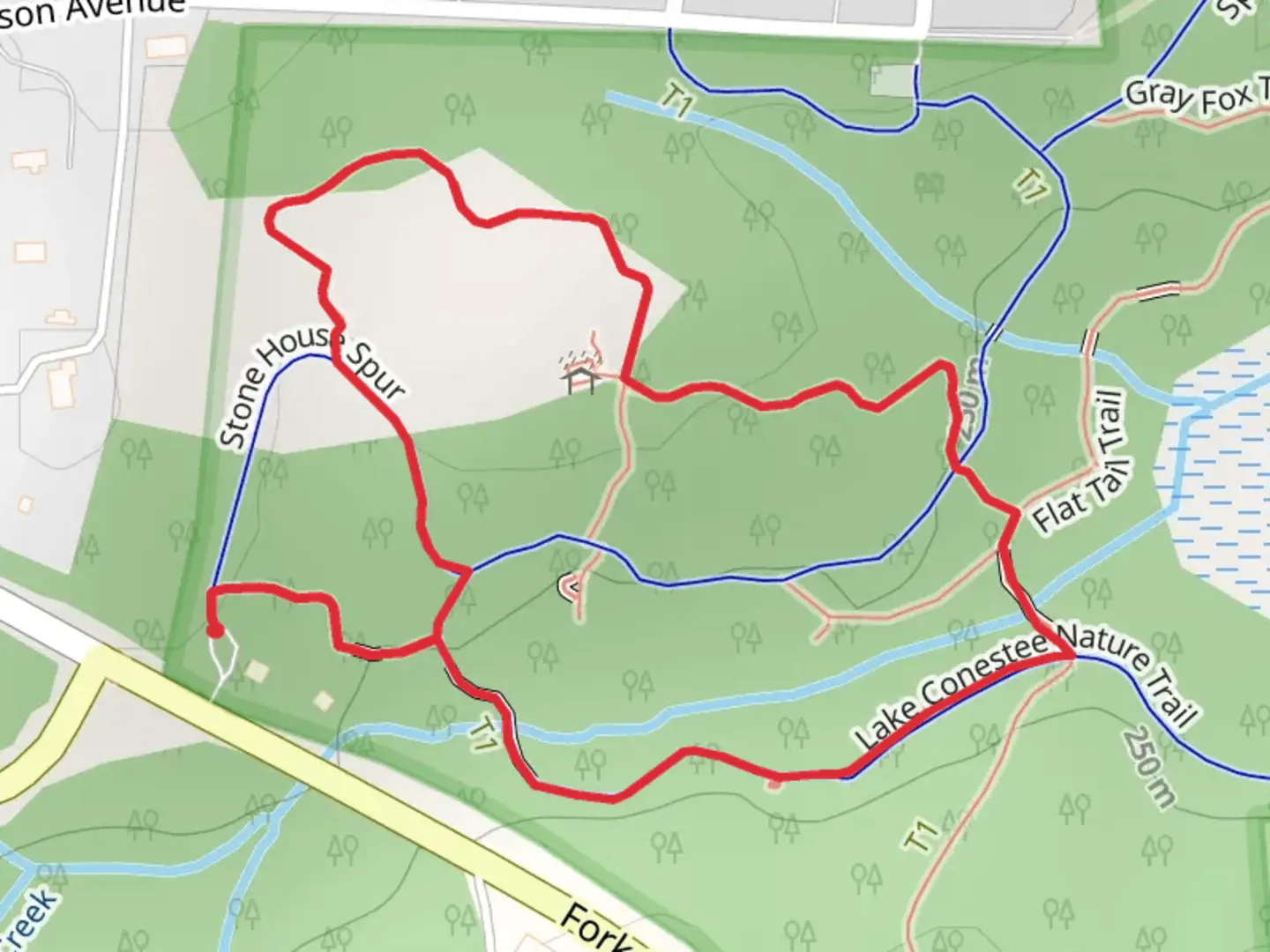 An image depicting the trail Spring Lizard Link, White Tail and Lake Conestee Nature Loop Trail and its surrounding area.