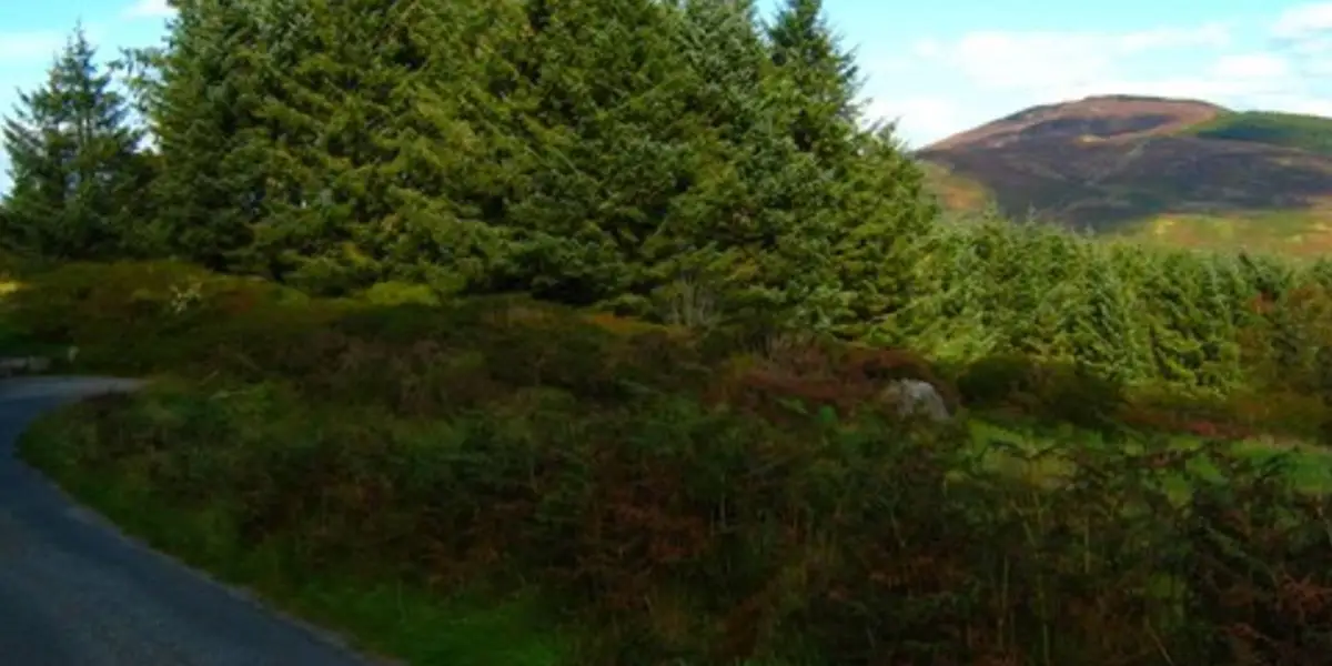 Ballard Waterfall Trail